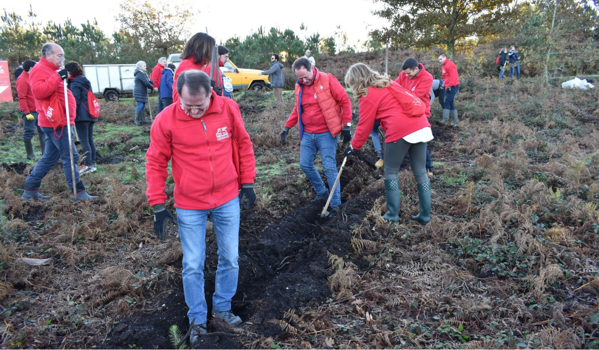 Voluntarios trabajando