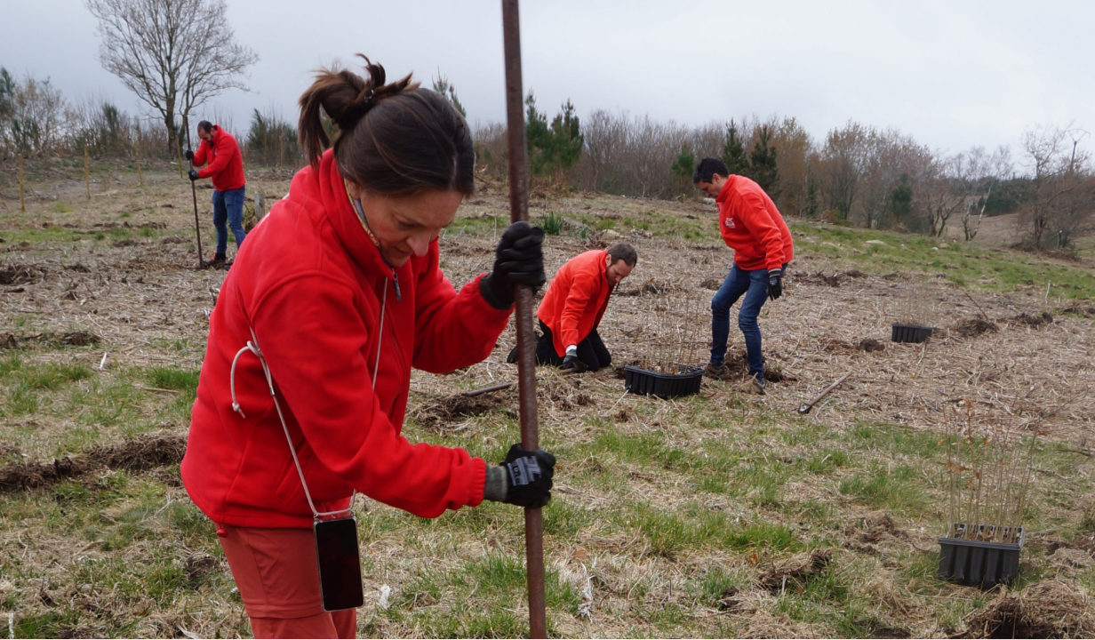 Voluntarios trabajando
